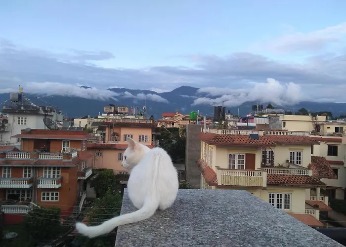 Family With Rooftop Access And Mountain View Катманду